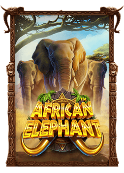 รีวิวเว็บ บอล ฝาก 300 รับ 300 คุ้มสุดในยุคนี้